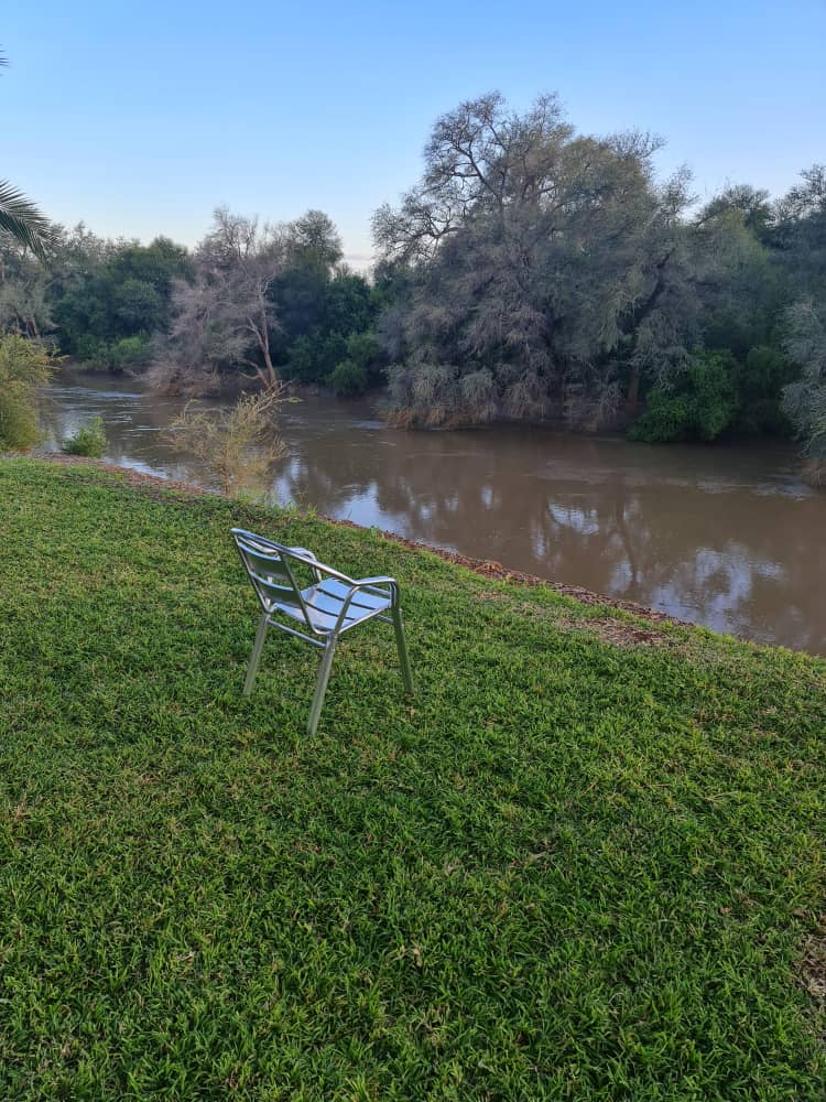 Peaceful riverbank view