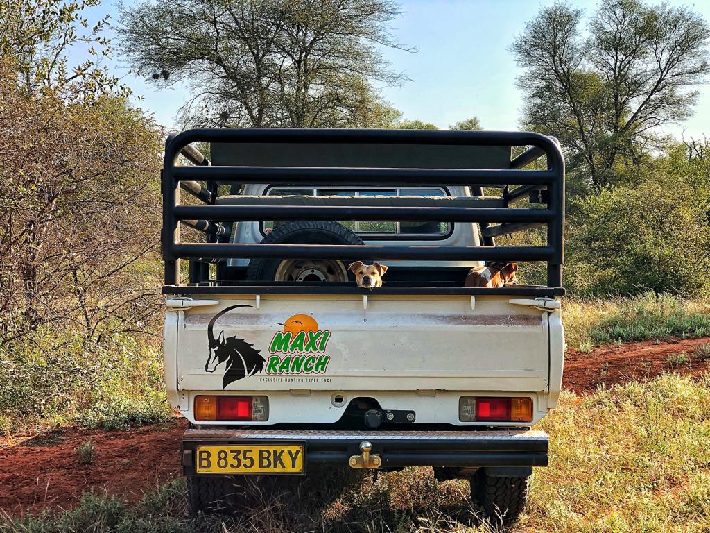 Safari vehicle rear view